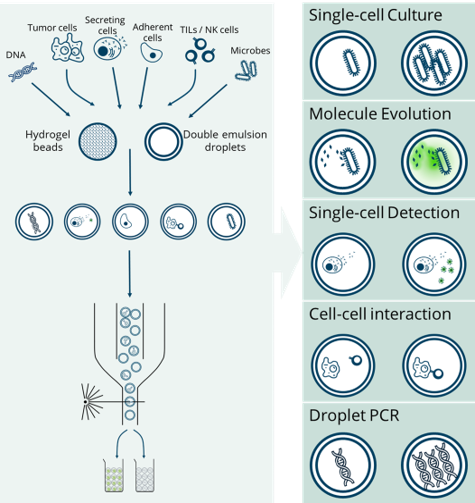 Picture of Etcembly's team with Xdrop